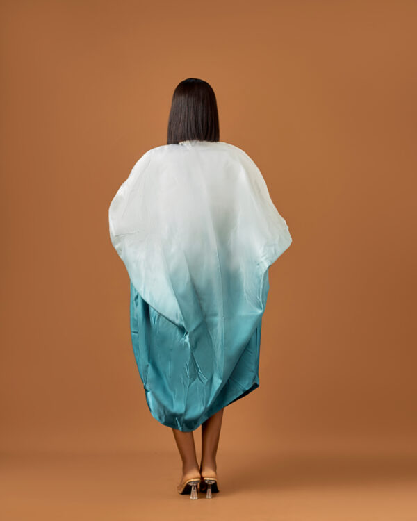 Nala Bubu - Image 4